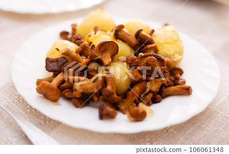 Traditional dishes of Eastern European cuisine Traditional dishes of Eastern European cuisine 106061348