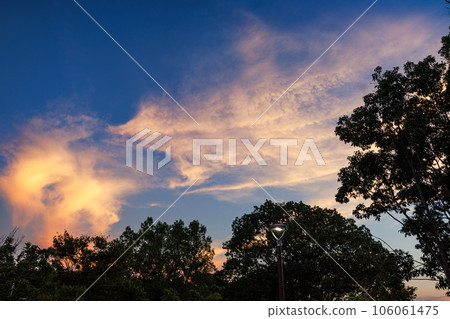 2023年夏天奈良市住宅區的夜景地區公園上空出現的絲質茜草雲(2) 2023年夏天奈良市住宅區的夜景地區公園上空出現的絲質茜草雲(2) 106061475