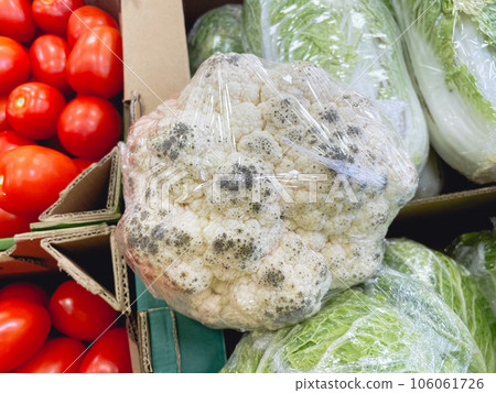 Spoiled cauliflower with mold in a hypermarket. Selective focus Spoiled cauliflower with mold in a hypermarket. Selective focus 106061726