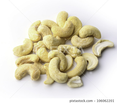 cashew nut tree nut cashew nut tree nut 106062201