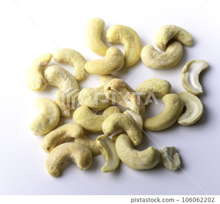 cashew nut tree nut 106062202