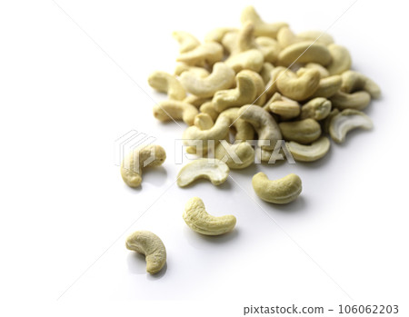 cashew nut tree nut 106062203
