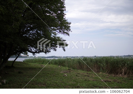 Tottori four seasons walk summer Qingdao Tottori four seasons walk summer Qingdao 106062704
