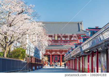東京淺草寺仲見世街櫻花盛開 106064169