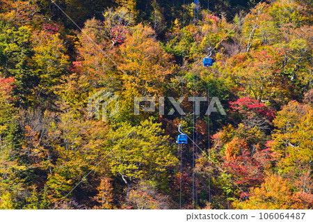 Autumn Naeba Dragon Dora 106064487