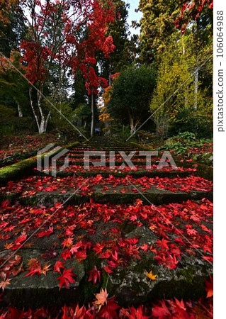 Joshoji temple in autumn 106064988