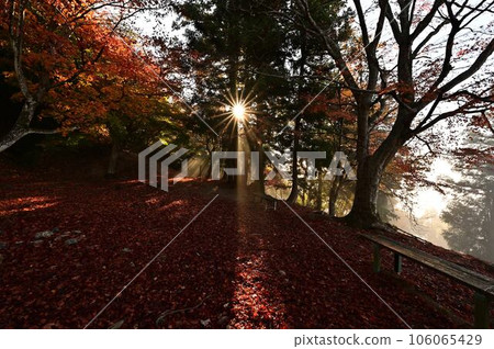 黑井城遺址的秋葉 106065429