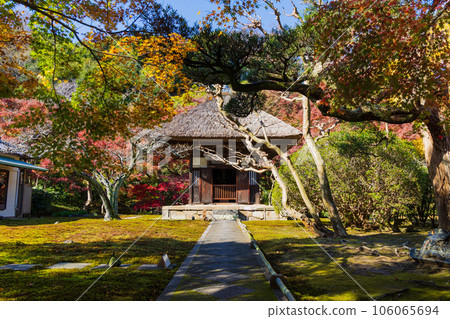 鎌倉,深秋的古都,秋葉的長壽寺觀音堂 鎌倉,深秋的古都,秋葉的長壽寺觀音堂 106065694