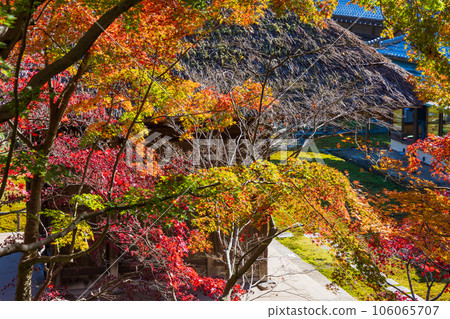 鎌倉，深秋的古都，秋葉的長壽寺 106065707