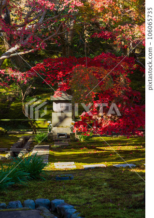 Kamakura, the ancient capital of late autumn, Chojuji Temple with autumn foliage 106065735