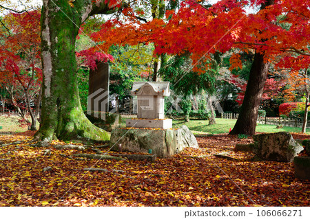 Ashimori feudal lord feudal lord's garden Late autumn Kinsuien autumn leaves garden 2 Ashimori Kita Ward, Okayama City, Okayama Prefecture 106066271