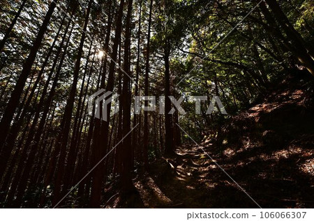 從播州清水寺出發 106066307