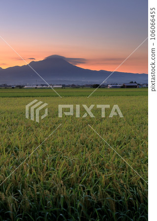 Beautiful summer rural landscape with Mt. Houki Daisen in Tottori Prefecture and green rice plants under the blue sky Beautiful summer rural landscape with Mt. Houki Daisen in Tottori Prefecture and green rice plants under the blue sky 106066455