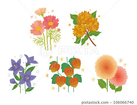 秋天的花集 106066740