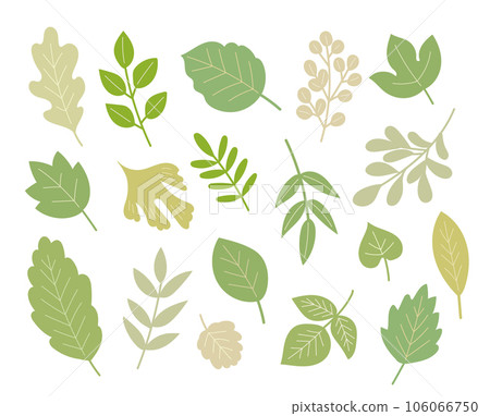 各種葉子 106066750