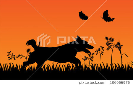 Dog with butterfly, dog and butterflies 106066976