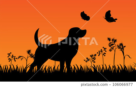 Dog with butterfly, dog and butterflies 106066977
