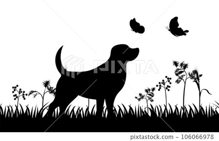 Dog with butterfly, dog and butterflies Dog with butterfly, dog and butterflies 106066978