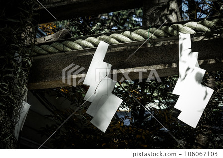 Paper dragon of the shrine Paper dragon of the shrine 106067103