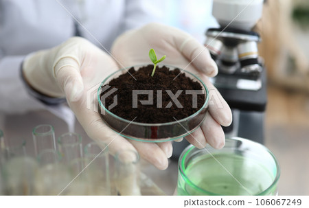Scientists experimenting with sprout in lab 106067249