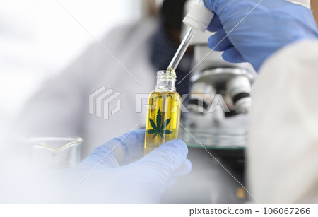 Hands holding dropper with hemp oil from bottle Hands holding dropper with hemp oil from bottle 106067266