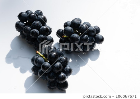 長野紫（大葡萄）用水沾濕的白色背景照片 106067671