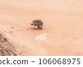 Planet Mars like landscape - Photo of Wadi Rum desert in Jordan with red pink sky above, this location was used as set for many science fiction movies 106068975