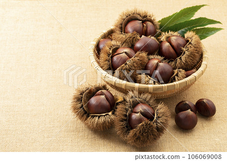 我想把它放進一個深過濾器裡,但是chestnuts_background粗麻布 我想把它放進一個深過濾器裡,但是chestnuts_background粗麻布 106069008