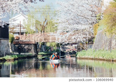 Omihachiman City, Shiga Prefecture Hachimanbori Cherry Blossoms and Kayak Hachimanbori Tour 106069940