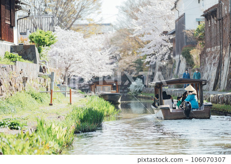 Omihachiman City, Shiga Prefecture Enjoy cherry blossoms and tour Hachimanbori on a houseboat Omihachiman City, Shiga Prefecture Enjoy cherry blossoms and tour Hachimanbori on a houseboat 106070307