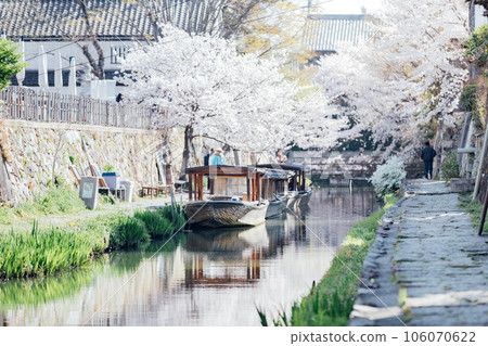 滋賀縣近江八幡市 八幡堀的櫻花和八幡堀周圍的日本船 106070622
