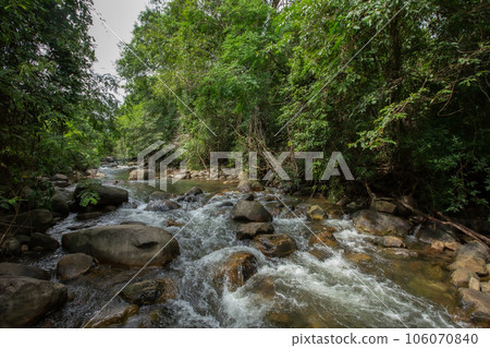 Forest, Waterfall, Lake, Landscape - Scenery, Scenics - Nature Forest, Waterfall, Lake, Landscape - Scenery, Scenics - Nature 106070840