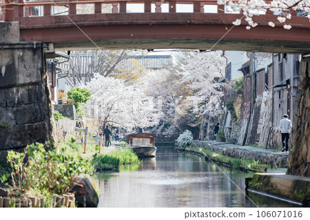Omihachiman City, Shiga Prefecture Cherry blossoms at Hachimanbori and Japanese boats around Hachimanbori Omihachiman City, Shiga Prefecture Cherry blossoms at Hachimanbori and Japanese boats around Hachimanbori 106071016