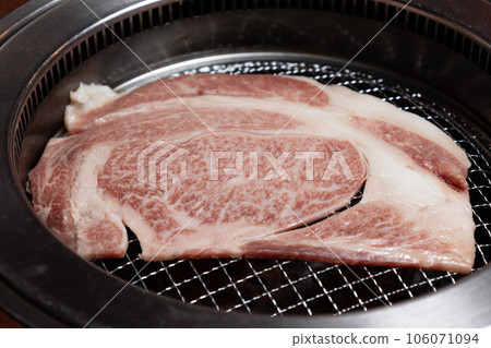 raw meat on a net raw meat on a net 106071094