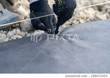 A person hammers a plastic stake into the ground to hold the agrofibre on the ground. A person hammers a plastic stake into the ground to hold the agrofibre on the ground. 106072054