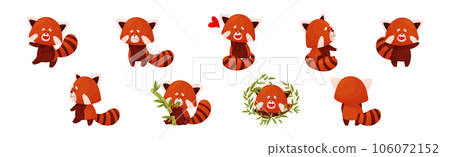 Cute Red Panda Chinese Animal Character with Striped Tail Vector Set 106072152