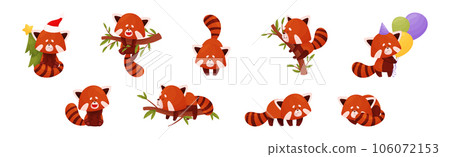 Cute Red Panda Chinese Animal Character with Striped Tail Vector Set 106072153