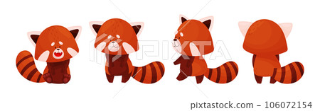 Cute Red Panda Chinese Animal Character with Striped Tail Vector Set 106072154