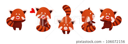 Cute Red Panda Chinese Animal Character with Striped Tail Vector Set 106072156