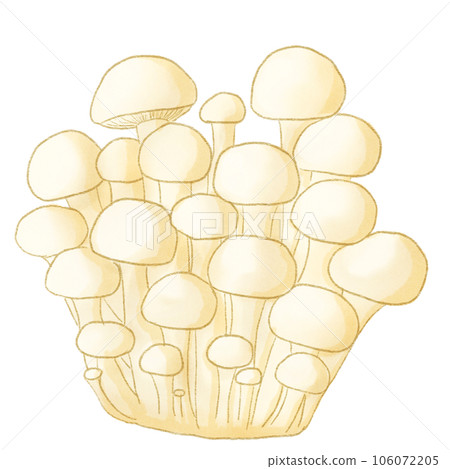 Shimeji mushrooms Shimeji mushrooms 106072205
