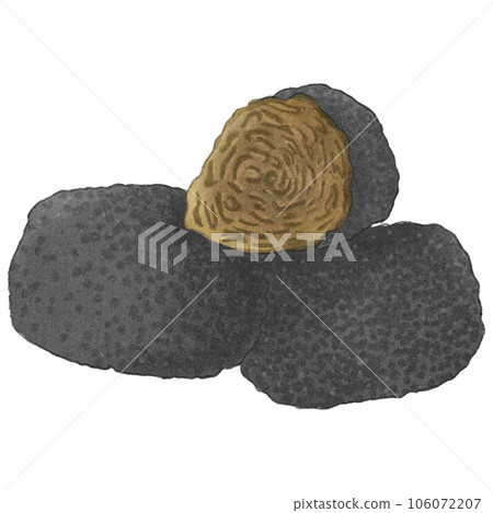 Truffle mushrooms Truffle mushrooms 106072207