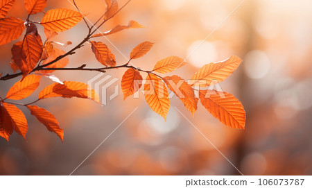 Abstract Fall background. 106073787