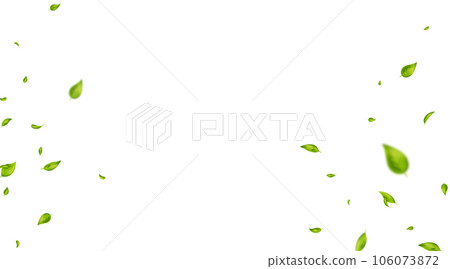 Green flying leaves frame. Leaf falling. Wave foliage ornament. Vegan, eco, organic design element. Cosmetic pattern border. Fresh tea background. Beauty product. Wedding decor. Vector illustration 106073872