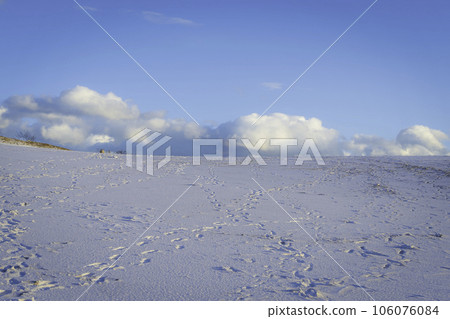Snow Tottori Sand Dunes 106076084