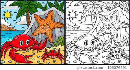 Summer Crabs and Starfish on Shore Illustration 106076291