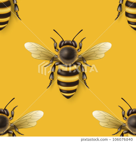 Vector Seamless Pattern with 3d Realistic Detailed Honey Bee Icon Closeup on Yellow Background. Queen Honeybee Design Template, Vector Illustration of Bee in Macro, Top View Vector Seamless Pattern with 3d Realistic Detailed Honey Bee Icon Closeup on Yellow Background. Queen Honeybee Design Template, Vector Illustration of Bee in Macro, Top View 106076840