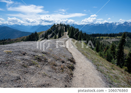 Hiking trail at Hurricane Ridge in Olympic National Park, Washington. 106076860