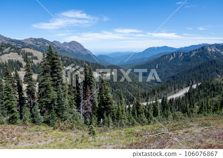Road to Hurricane Ridge through mountains of Olympic National Park. Road to Hurricane Ridge through mountains of Olympic National Park. 106076867