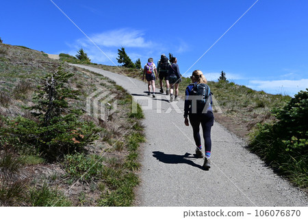 Hikers on Hurricane Ridge trails in Olympic National Park, Washington. Hikers on Hurricane Ridge trails in Olympic National Park, Washington. 106076870
