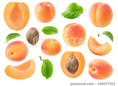 Collection of raw apricot fruits, with pieces, leaves and kernel isolated on white 106077303
